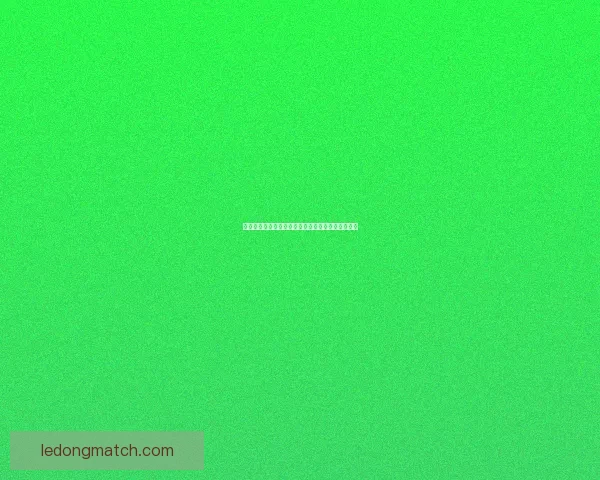 乐动体育投注全面解析最新玩法策略与实用技巧指南