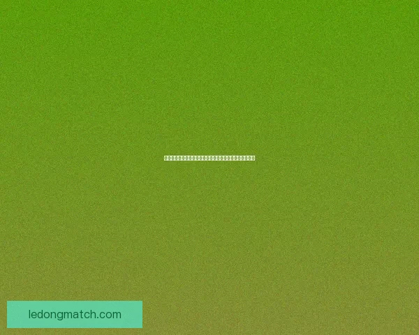 世界杯竞猜入口全面指南助你轻松掌握投注技巧与赛果分析